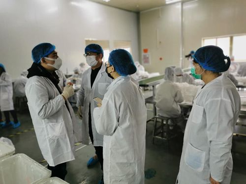 审计助力防疫物资企业复工复产，福州展现服务温度